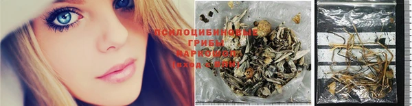 экстази Няндома