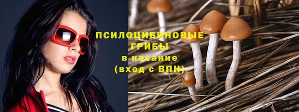 mix Богородицк